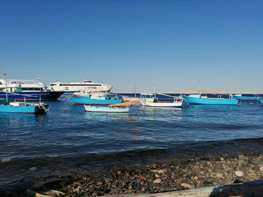 Hurghada: Private Guide City Tour & Shopping Stop - Hurghada Fish Market: fresh seafood energy, without the tourist fog