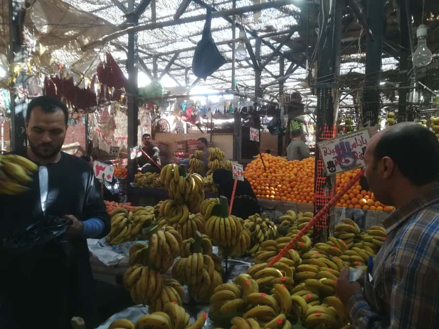 Hurghada: Private Guide City Tour & Shopping Stop - Starting at New Marina: an easy win for first-time orientation