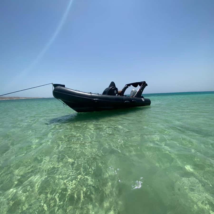 Hurghada: Private Speedboat to Dolphin House with Pickup - Key Points Before You Go