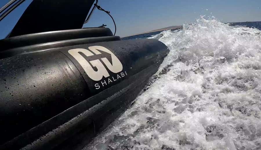 Hurghada: Private Speedboat to Dolphin House with Pickup - El Fanadir and other reefs: what you’re likely to see between dolphin sightings