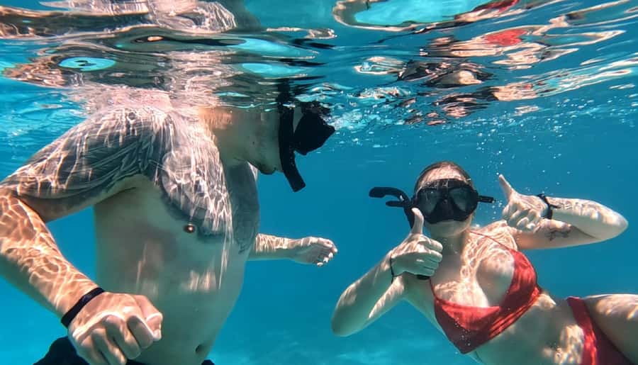 Hurghada: Private Speedboat to Dolphin House with Pickup - Shipwreck snorkel stop: the “bonus story” under the surface