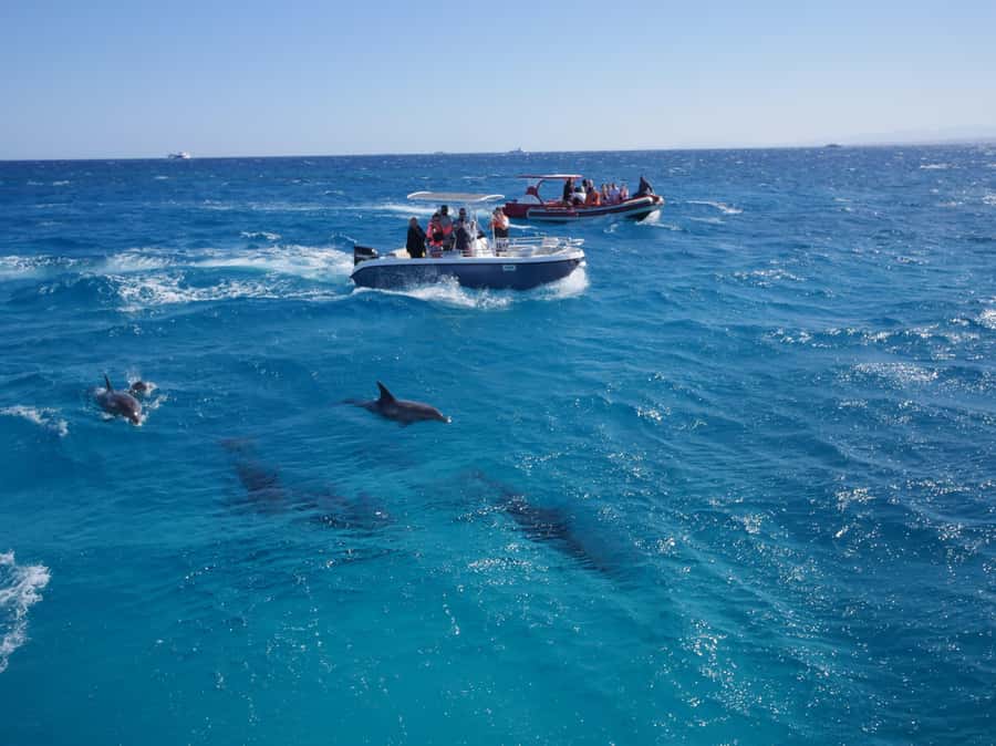 Hurghada: Private Speedboat to Orange Bay and White Island - On-Board Comfort: Fruit, Drinks, and a Shaded Tenda