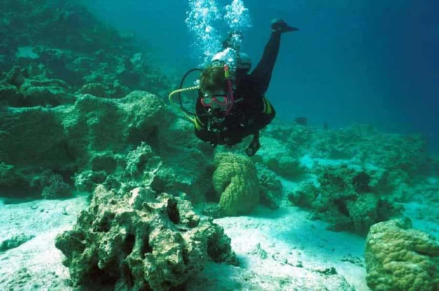 Hurghada, Professionals Diving in Open Water Tour with Lunch - Lunch Onboard, Drinks Included, and a Real Break