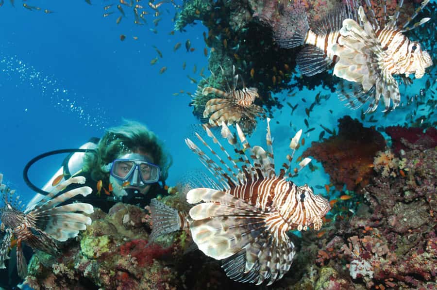 Hurghada, Professionals Diving in Open Water Tour with Lunch - Instructor Style, Group Size, and What “Pro” Should Mean