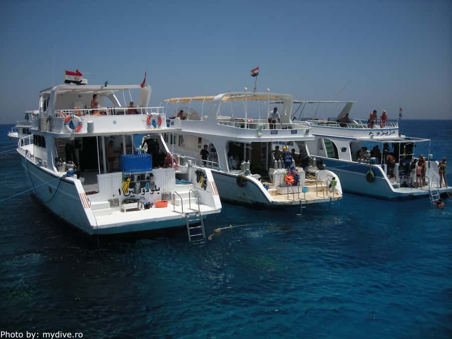 Hurghada, Professionals Diving in Open Water Tour with Lunch - Price and Value: Is $72 a Fair Deal?