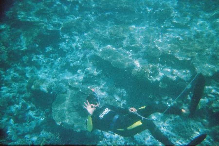 Hurghada, Professionals Diving in Open Water Tour with Lunch - Pickup, Boat Time, and Your First Underwater Session