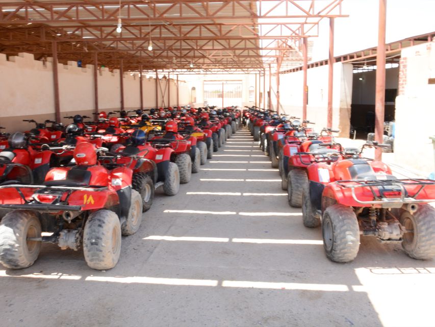 Hurghada Quad & ATV Ride with Camel, Desert Vibes & Sea View - Camel ride: the quick classic moment, plus a longer upgrade