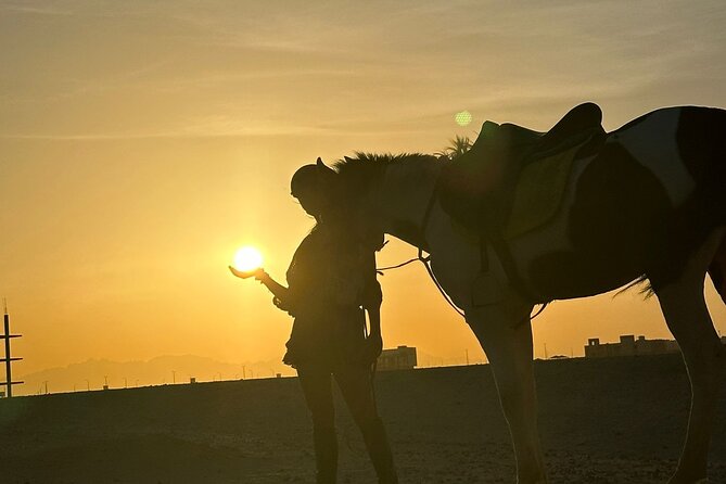 Hurghada: Red Sea & Desert Horse Riding Tour with Swimming - Pickup From Hurghada Hotels, Plus Extra Stops for Other Areas