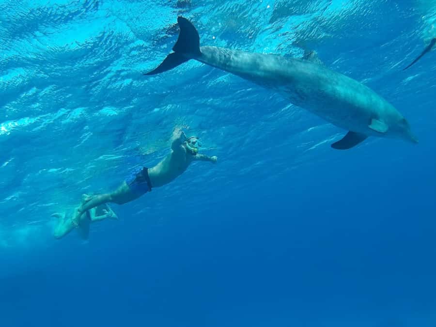 Hurghada: Royal Orange Bay with Massage, Snorkeling & Lunch - Small-group feel, skip-the-line setup, and what that means for your comfort