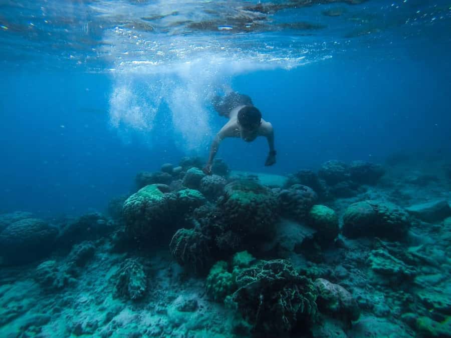 Hurghada: Royal Orange Bay with Massage, Snorkeling & Lunch - Cruising the Red Sea, with calm time built into the schedule