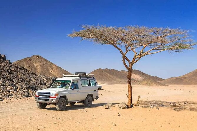 Hurghada: Safari 4x4 Jeep, Camel Ride, Dinner & Star Watching - The Candlelit Barbecue Buffet: More Than Just a Meal