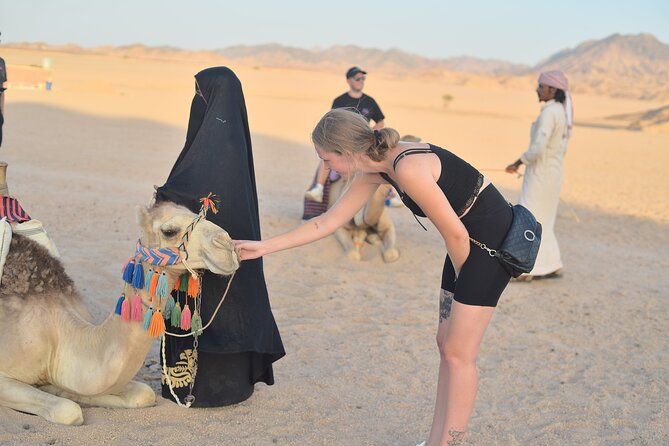Hurghada: Safari 4x4 Jeep, Camel Ride, Dinner & Star Watching - Stargazing at the Observatory: What the Astronomer Actually Does
