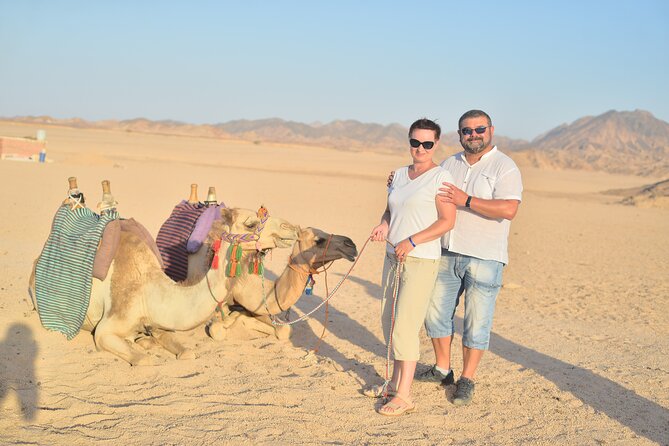 Hurghada: Safari 4x4 Jeep, Camel Ride, Dinner & Star Watching - Camel Ride and Desert Tea Before the Big Dinner