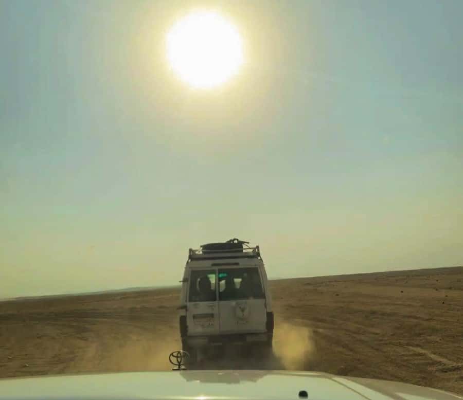 Hurghada: Safari Jeep & Camel Ride with BBQ Dinner & Show - Timing and the wait factor: manage it, don’t fight it