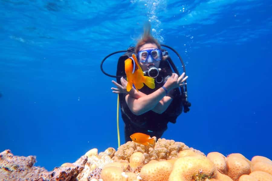 Hurghada: Scuba Diving cruise with lunch & pickup - Key things to know before you go
