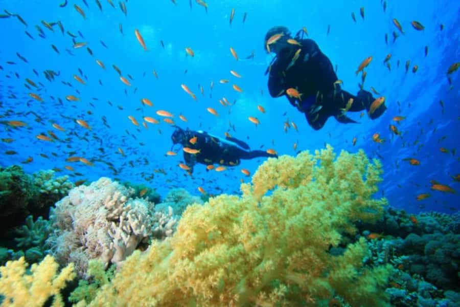 Hurghada: Scuba Diving cruise with lunch & pickup - Should you book this Hurghada scuba cruise?