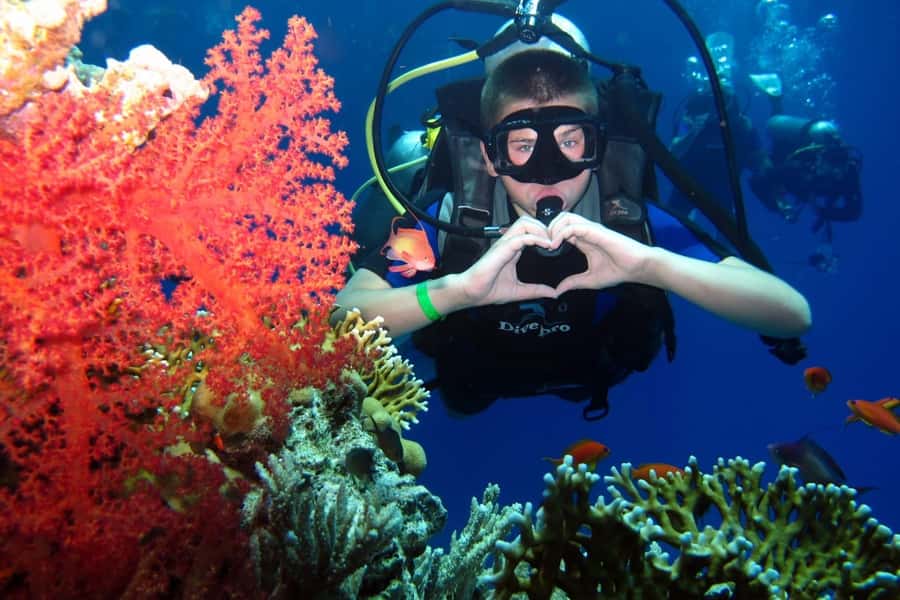 Hurghada: Scuba Diving cruise with lunch & pickup - How the 6-hour pickup to marina flow really feels
