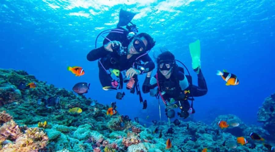 Hurghada: Scuba Diving cruise with lunch & pickup - Scuba sessions: beginner intros, experienced timings, and instructor support