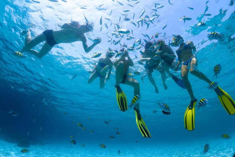 Hurghada: Scuba Diving for Beginners & Certified Divers - Snorkeling breaks that let you enjoy the reef from the surface