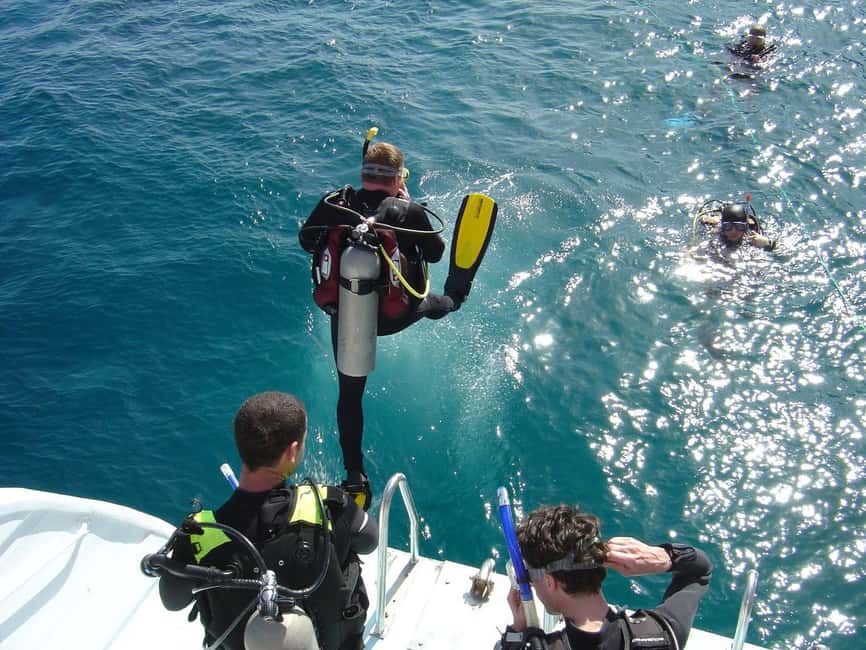 Hurghada: Scuba Diving for Beginners & Certified Divers - Price and value: what you get for $30, plus the add-ons