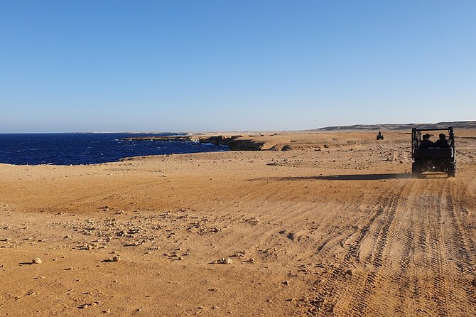 Hurghada: Sea and Mountains ATV Quad Bike Tour - Dust, Safety Gear, and What to Pack (Scarf and Glasses Matter)