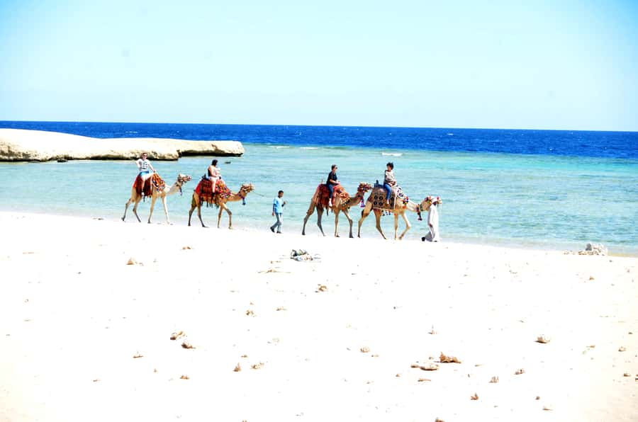 Hurghada: Sea & Desert Camel Ride w/Dinner, Show, Stargazing - Should You Book This Hurghada Camel and Stargazing Combo?
