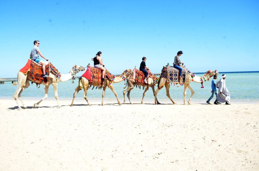Hurghada: Sea & Desert Camel Ride w/Dinner, Show, Stargazing - Sunset, Dinner, Show, and Stargazing: The Evening Program That Changes the Mood