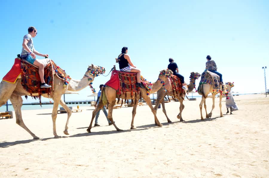 Hurghada: Sea & Desert Camel Ride w/Dinner, Show, Stargazing - Cost and Value at About $26: What You Really Pay For