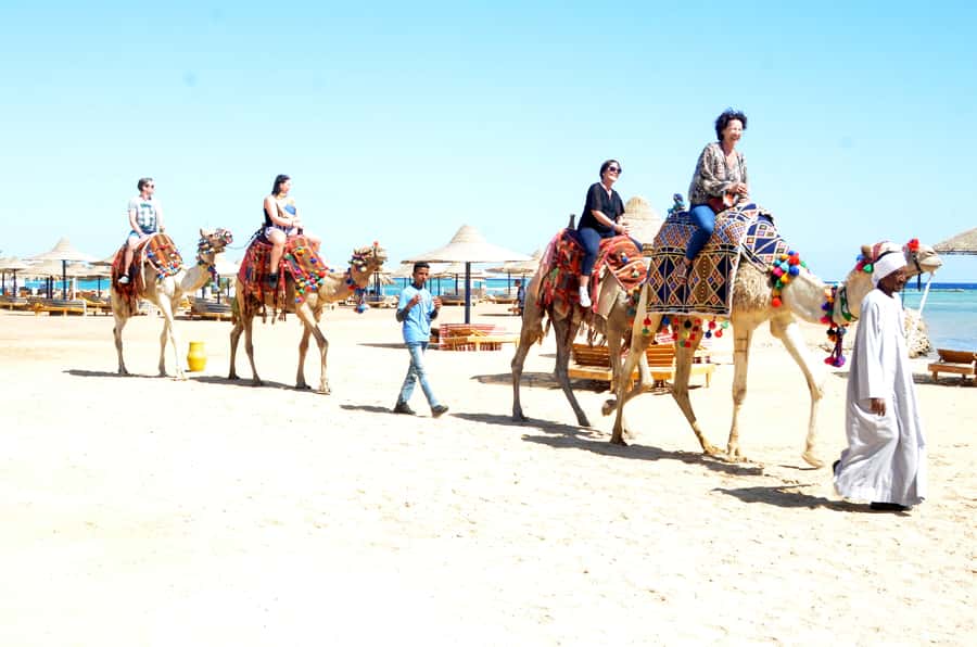 Hurghada: Sea & Desert Camel Ride w/Dinner, Show, Stargazing - Who This Hurghada Desert Camel Ride With Dinner and Stargazing Is Best For