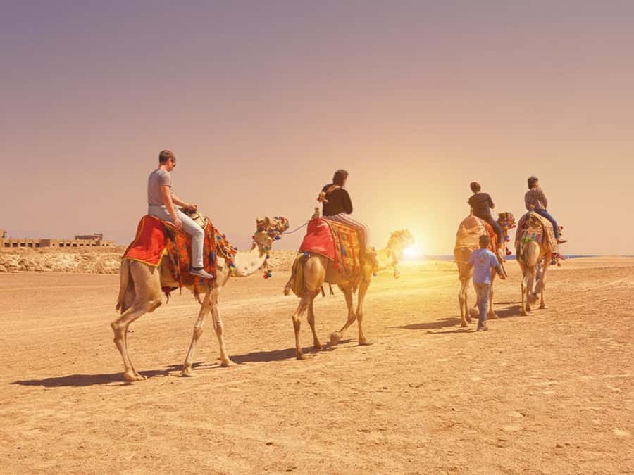 Hurghada: Sea & Desert Camel Ride w/Dinner, Show, Stargazing - Pick-Up, Transfers, and Timing: How the Drive Affects the Day