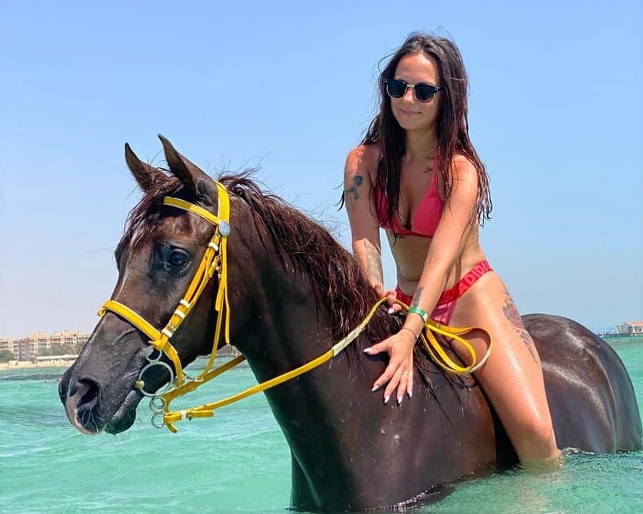 Hurghada: Sea & Desert Horse Riding tour/w Swimming&Transfer - Key things that make this tour work