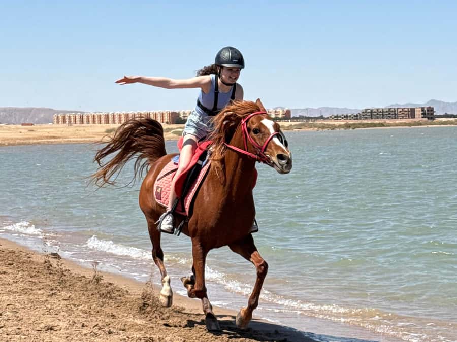 Hurghada: Sea & Desert Horse Riding tour/w Swimming&Transfer - Your Ride Options (90 Minutes to 3 Hours) and What You Should Pick