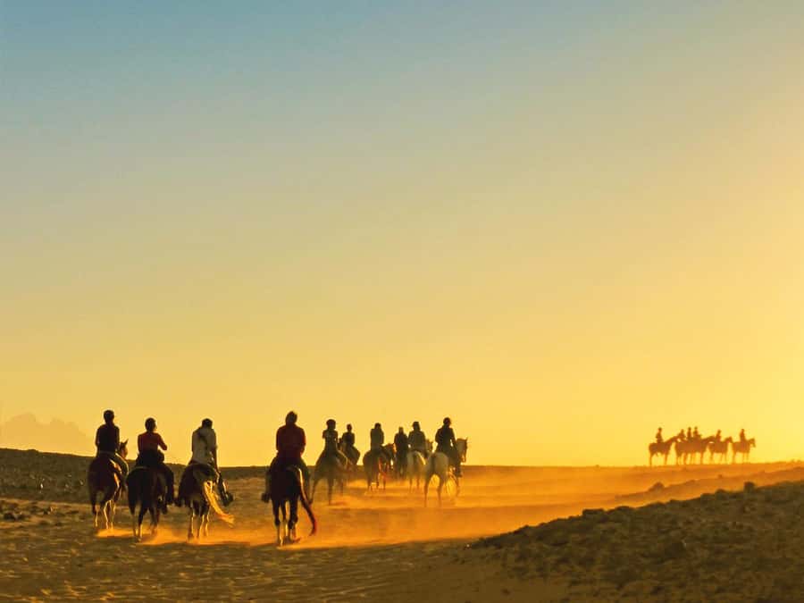 Hurghada: Sea & Desert Horse Tour, Stargazing, Dinner & Show - Choosing your time in Hurghada: sunrise, afternoon, or sunset with the full show