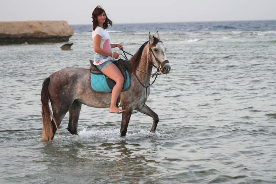 Hurghada: Sea & Desert Horse Tour, Stargazing, Dinner & Show - Getting ready at the ranch: safety briefing, helmets, and skill-level matching