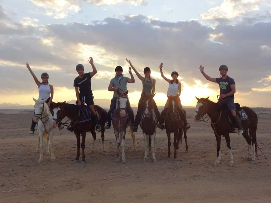 Hurghada: Sea & Desert Horse Tour, Stargazing, Dinner & Show - VIP 4-hour option: swimming with your horse in the Red Sea