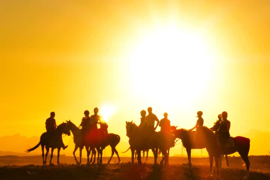 Hurghada: Sea & Desert Horse Tour, Stargazing, Dinner & Show - Sunset dinner, dance show, and stargazing with telescopes