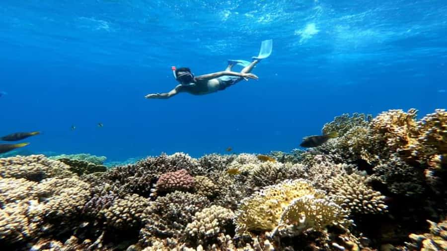 Hurghada: Snorkeling 6 x 1 to Orange Bay w Diving & Massage - Getting picked up and cruising out: smooth logistics, big boat comfort