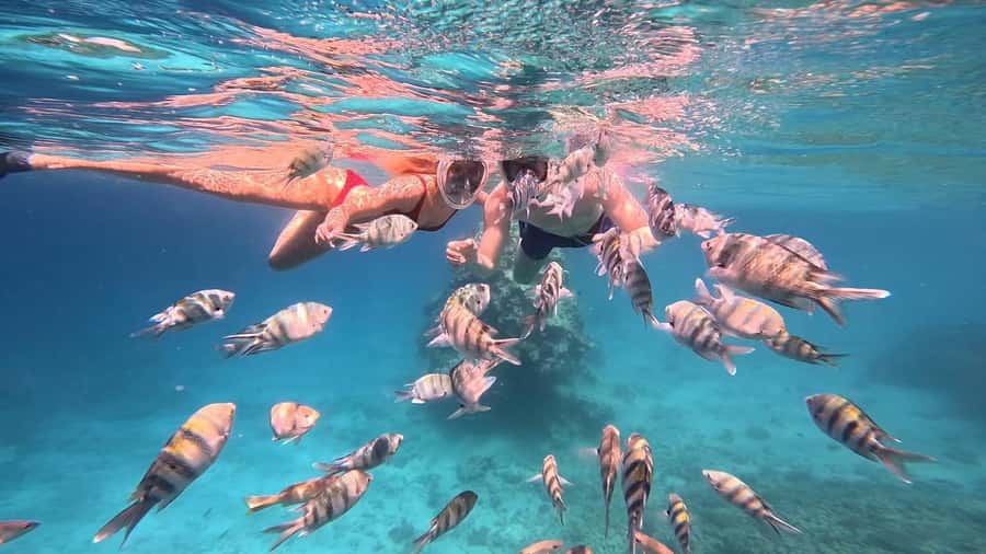 Hurghada: Snorkelling Trip by Speedboat with Hotel Pickup - Possible Bonus Moments: Dolphins, a Shipwreck, and Shallow Sandbar Time
