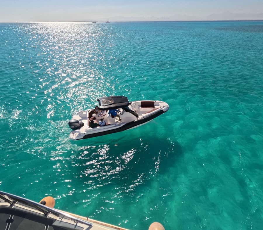 Hurghada: Speedboat Dolphin Watching & Snorkeling with Lunch - Finding dolphins: close views, respectful distance, and why sightings vary