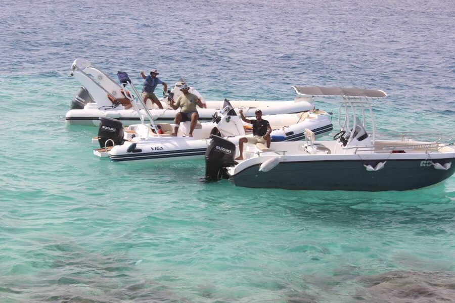 Hurghada: Speedboat Parasailing Adventures & Hotel Pick up - Dolphins, From Above or In the Water