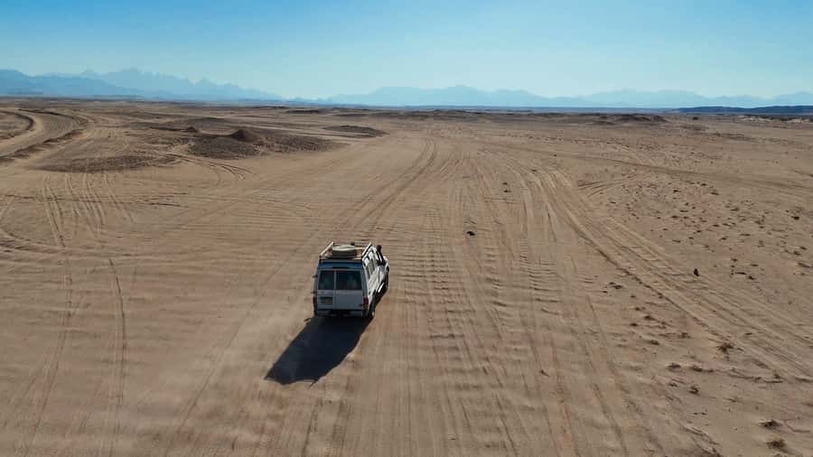 Hurghada: Star Stargazing Desert Adventure by Jeep & Dinner - Oasis Welcome and Farm Time: Tea, Dates, and Animal Encounters