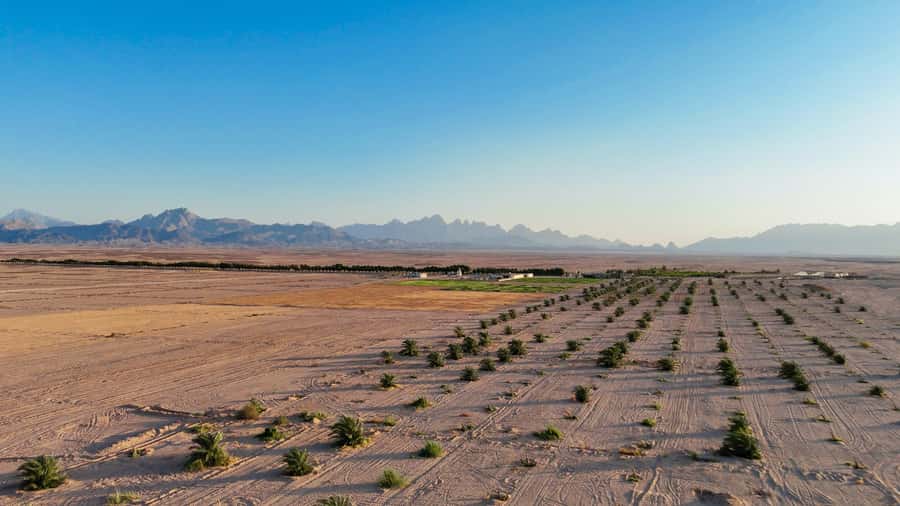 Hurghada: Star Stargazing Desert Adventure by Jeep & Dinner - Sunset on a High Hill: The View Plus the Little Details