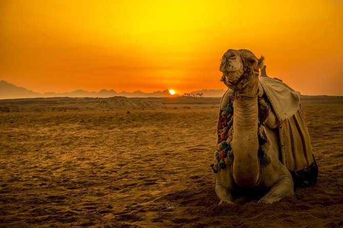 Hurghada: Star Watching Desert Adventure by Jeep with Dinner - Key Things to Know Before You Go
