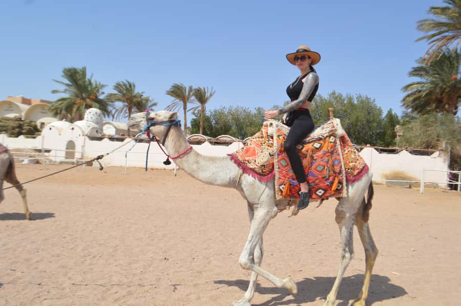 Hurghada: Sunrise Quad Bike, Camel and Oriental Breakfast - What You Actually Get for Around $10: Value That Makes Sense