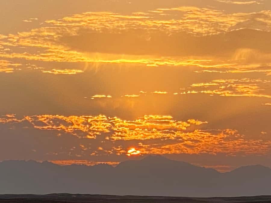 Hurghada: Sunset Camel Ride with Dinner - Key Things to Know Before You Go