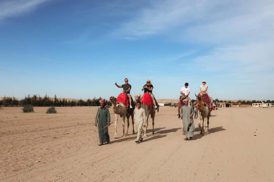 Hurghada: Sunset Camel Ride with Dinner - The Oasis Welcome: Tea, Bedouin Culture Moments, and Desert Farm Work