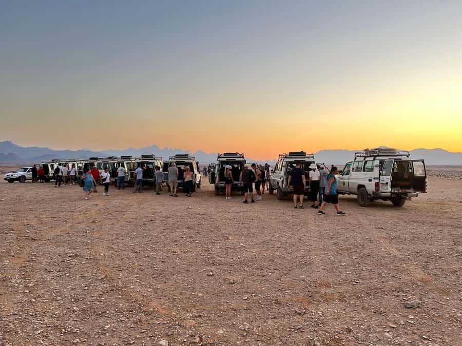 Hurghada: Sunset Camel Ride with Dinner - Who This Hurghada Sunset Camel Ride Suits Best