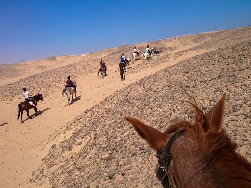 Hurghada: Sunset Sea, Desert Horse W Opt, Dinner, Stargazing - What to pack so the ride stays fun