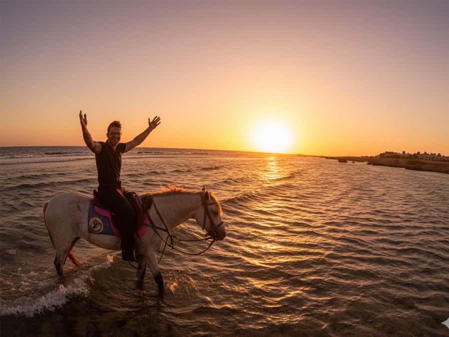 Hurghada: Sunset Sea, Desert Horse W Opt, Dinner, Stargazing - Where the day starts, and why pickup timing matters