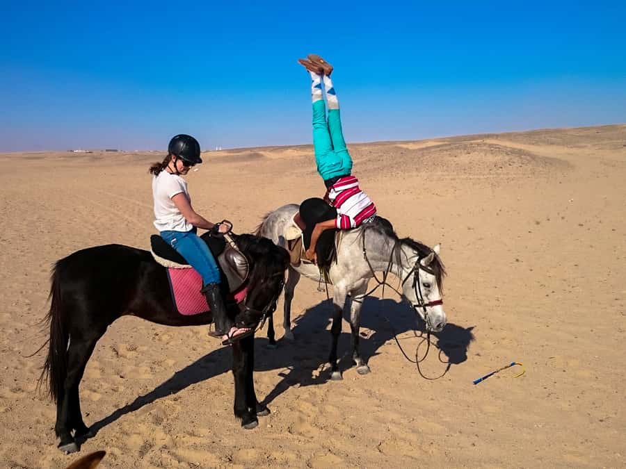 Hurghada: Sunset Sea, Desert Horse W Opt, Dinner, Stargazing - VIP 4-hour plan with a swim stop in the Red Sea